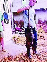 ��Ĺ���᡼�ȥ�Υͥ��ߤ�¼�ͤ�ȯ�������Ф��Ƽ�κ�ˡ��ֹ����Ǥ������������ܤ�������ס��������ۻ�