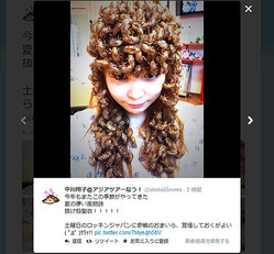 �ھ׷�ۤ��礳������ǯ����Ρ֥��ߤ�ȴ���̡פ����̤ˤޤȤä�ĩȯȯ��!? �֤��ޤ���и礷�Ƥ������褤��