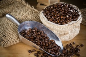 KALDI COFFEE FARM���㤦�٤���� ����Υ����ҡ�Ʀ�ʤ�