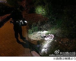 道路脇に腐乱死体が 実は 捨てられたダッチワイフを勘違い ライブドアニュース