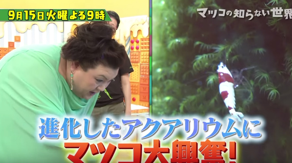 マツコ デラックスも大興奮した最新 癒やし グッズがスゴすぎるとネット上で話題に ライブドアニュース