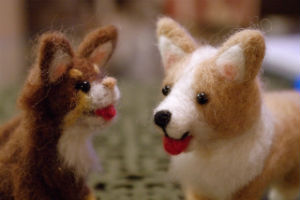 ボクたち かわいい物が大好き そんな ぬいぐるみ男子 にその理由を聞いてみた ライブドアニュース