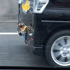 トイ ストーリー みたいに演出する車が話題 ウッディ ライブドアニュース