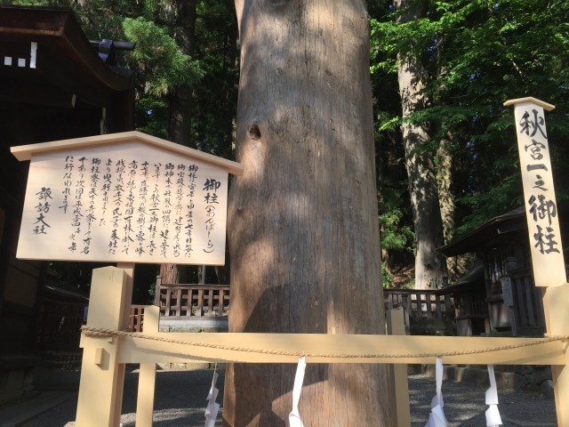 諏訪大社の御柱