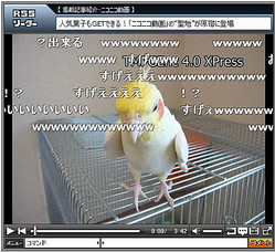 チョコボのテーマ曲を歌うインコがスゴイ ライブドアニュース