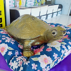 埼玉県内の宝くじ売り場で 億当選 が相次ぐ 激ツキの秘密とは ライブドアニュース