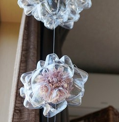 �ΤƤ���Ԥä����ڥåȥܥȥ�γڤ�����ᥤ�������ǥ���