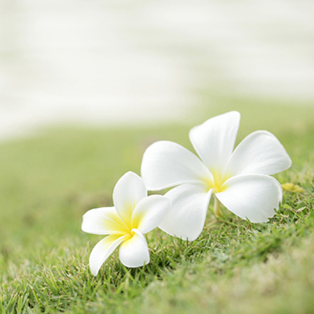 ボディラインがきれいに見える！美しい立ち姿と座り姿とは？