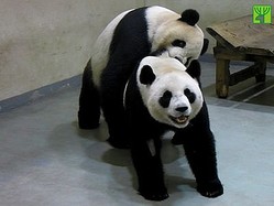 ���ѤΥѥ�����󡢥��å����ꤹ���� ��ǯ���������