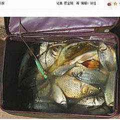 中国の川で魚が大量死 市民が 食べられる と殺到 ライブドアニュース