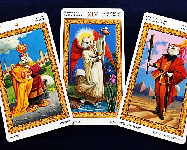 ¡Ú²´µíºÂ¡Û¥¿¥í¥Ã¥ÈÀꤤ»Õ¡¦ºéÎɤµ¤ó¤¬Àꤦ2017ǯ5·îÁ°È¾¤ÎÁí¹ç±¿¡õÎø°¦±¿