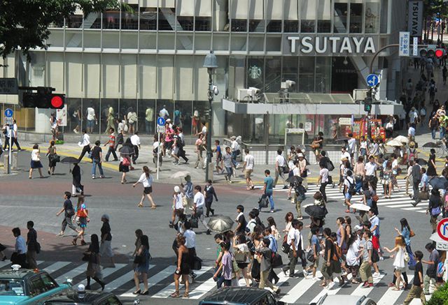 
        ����������Խ���
      