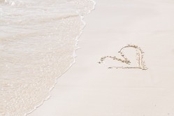 
        ����������Խ���
      