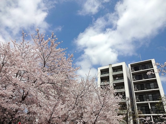 出費の激しい一人暮らしで食費を抑えるコツと節約術 時短方法も