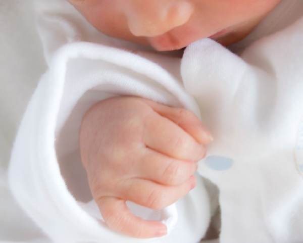 ���ǻ��ޤ줿�Ф���Τ郎�Ҥ��Ӥ���Ƥ�������ʲ����ϥ��᡼���Ǥ���