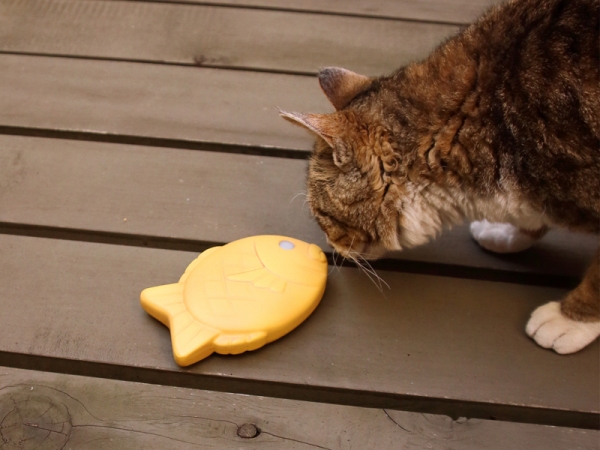 �Ȥ����Ƥ��ɤη��򤷤���Х���Хåƥ꡼������̾���SOSOGE!TAIYAKIKUN�١�