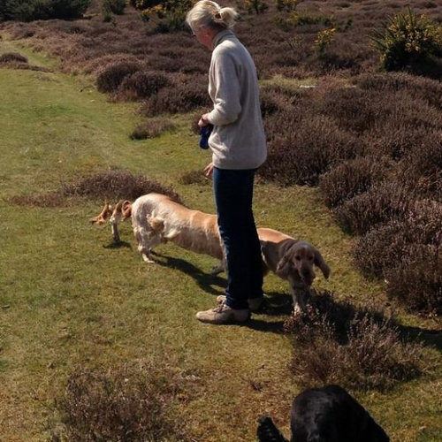 大変なものが撮れてしまった パノラマ撮影に失敗した写真18枚 ライブドアニュース