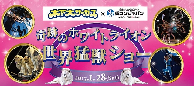  奇跡のホワイトライオン世界猛獣ショー_木下大サーカス×街コンジャパン 
