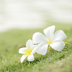 ���å�������������Ǥ��Ƥ��ޤä��顢���ɤ��ե��������롩