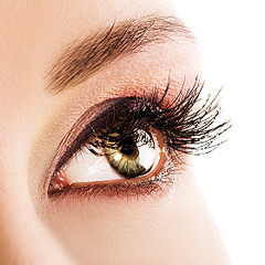 自前が一番 長くてふさふさな自まつげを育てるケア 5選 Peachy ライブドアニュース