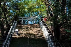 
        ����������Խ���
      