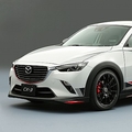 CX-3_01