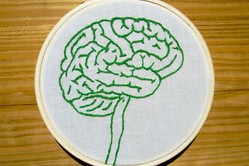 ֵϤ򶯲֡פDARPA38ߤλ