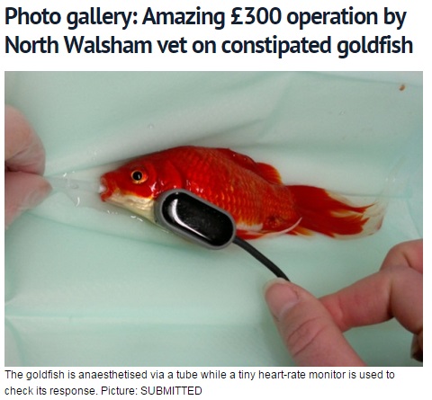 ���ʤ���500�ߤ��㤨������5���ߤΰ�������ʧ���롩�ʲ�����edp24.co.uk�Υ����꡼�󥷥�åȡ�