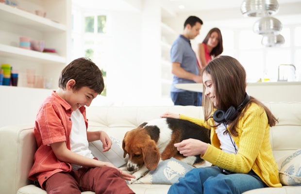 �̿���iStock / thinkstock