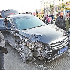 中国で事故車から50頭もの犬の死骸が見つかる 運転手は逃走図る ライブドアニュース