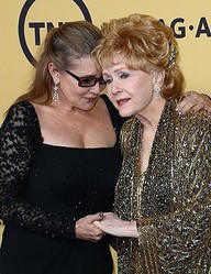 ����꡼���ե��å��㡼��¡ȯ��θ����ϡ����ޤ�����