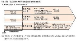 損保ジャパン日本興亜ひまわり生命 限定告知型医療保険の新商品を発売 ライブドアニュース