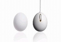 ̿ϥ쥳ΡEGG MOUSEסGOOD DESIGN STOREפǤϡ쥳ѥʡꡢޤޤʾʤŸԤäƤ롣