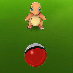 ポケモンgo 知らない人は驚く 画面端スワイプ投法 を紹介 ライブドアニュース ポケモンgo 知らない人は驚く 画面端スワイプ投法 を紹介 ライブドアニュース