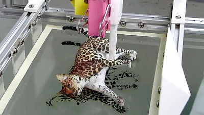 精密かつ正確に立体物に水圧転写することが可能になる画期的な印刷技術「Computational Hydrographic Printing」