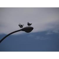 都会に出た人 と 地元の人 の価値観の違いって ライブドアニュース