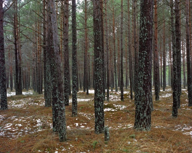 続・これら20枚の写真には「スナイパー」が隠れています