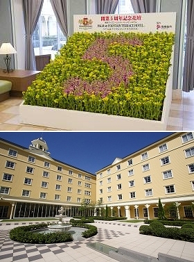 東京ディズニーリゾート パートナーホテル パーム ファウンテンテラスホテル 開業5周年で南房総 春の花 プレゼント ライブドアニュース
