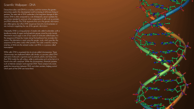 DNA�����η�̴��ϥХ�Х�?