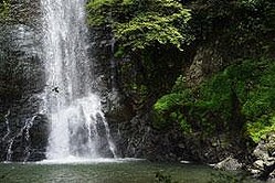 ��Ϣ����