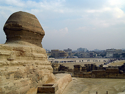 �ʴѤ���!? ���ե��󥯥����Υ��󥿥å����ե饤�ɥ�����