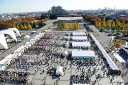 �顼�����⡢���󤬿��Ӥ�