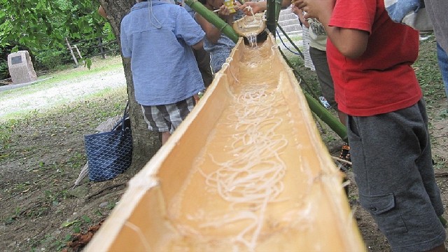 �ʲ�����ή���������郎���� �����ǻȤ�Ķ�ܳ�Ū��������