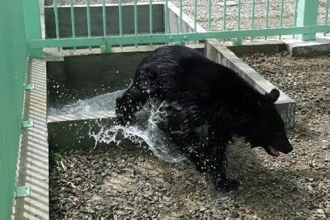 関連画像