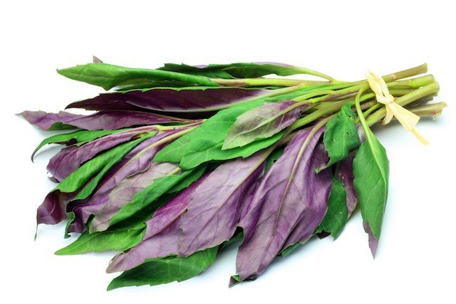 この夏はネバネバで乗り切ろう 旬の３大ネバネバ葉野菜に注目 ライブドアニュース