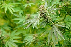 ��Ϣ����