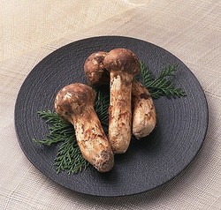 ��������̣�ɥ쥷�Ԥǡ��������ꤷ�褦��