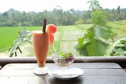 自然あふれるリゾート地が魅力のバリ島