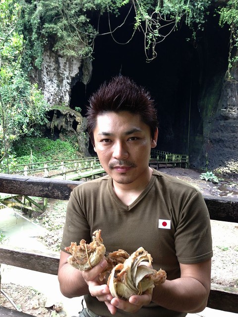 ツバメの巣は偽物だらけ」日本人で唯一の“ツバメの巣ハンター”に話を