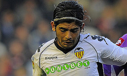 �Х�󥷥��ΥХͥ����쥢��Υ�˥ե�����Ѥ��ե������֥å��˷Ǻܤ��������